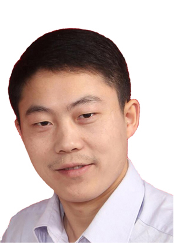 Professor Ding Wang